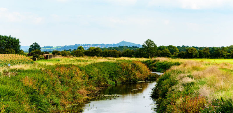 Somerset Landscape