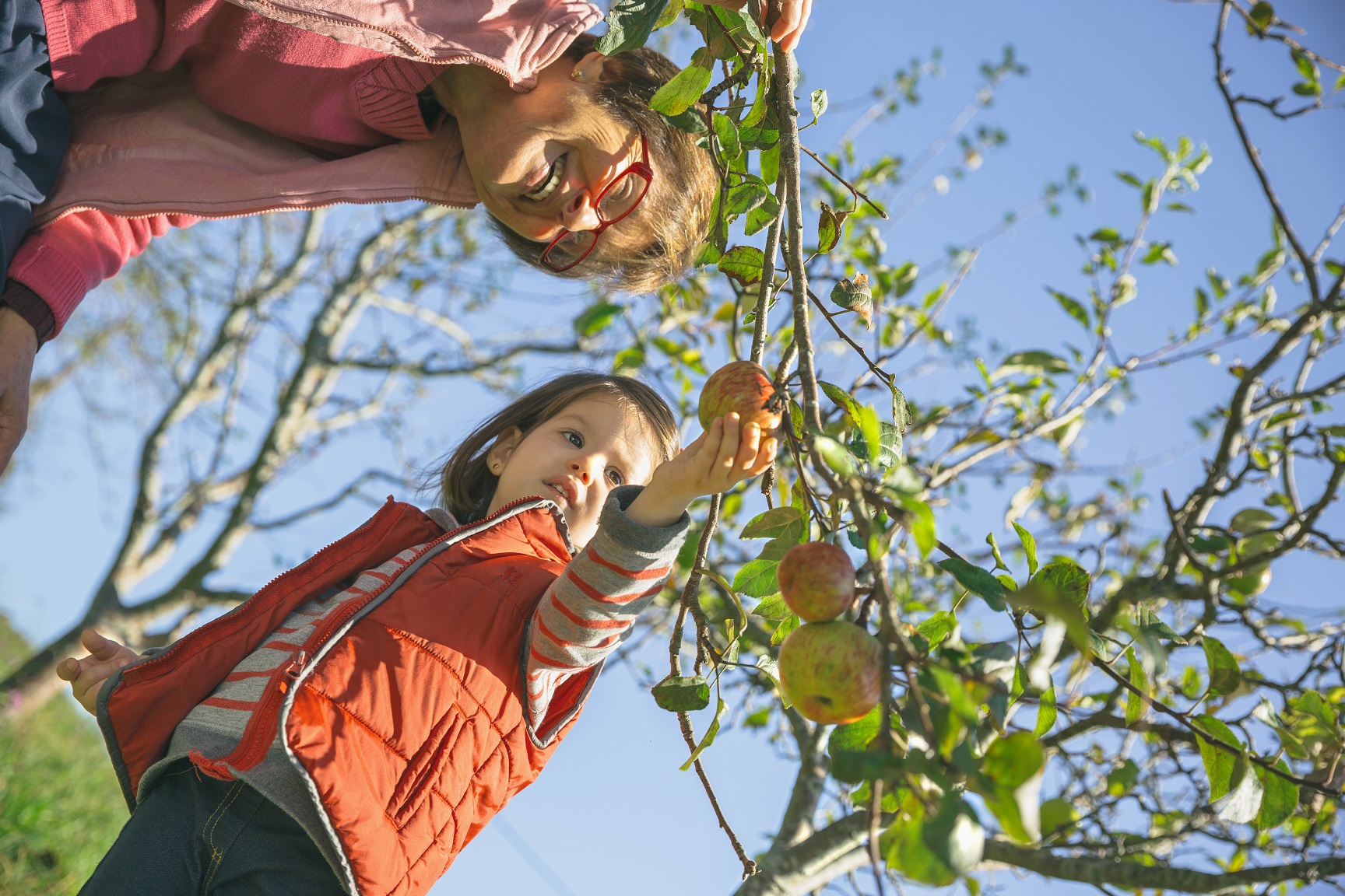 Adult and Child with Apple Tree and Blue Sky