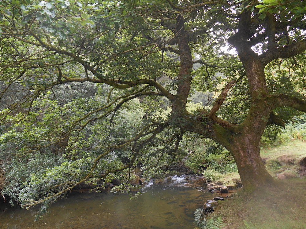 Tim Craven photograph of Badgworthy Water in Exmoor