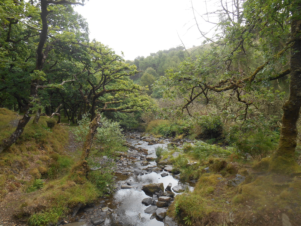 Tim Craven photograph of Badgworthy Water in Exmoor
