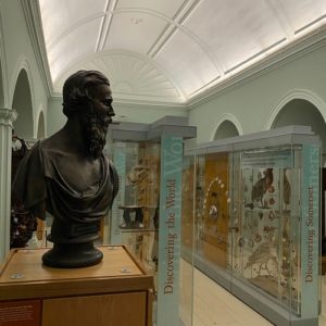 Museum of Somerset