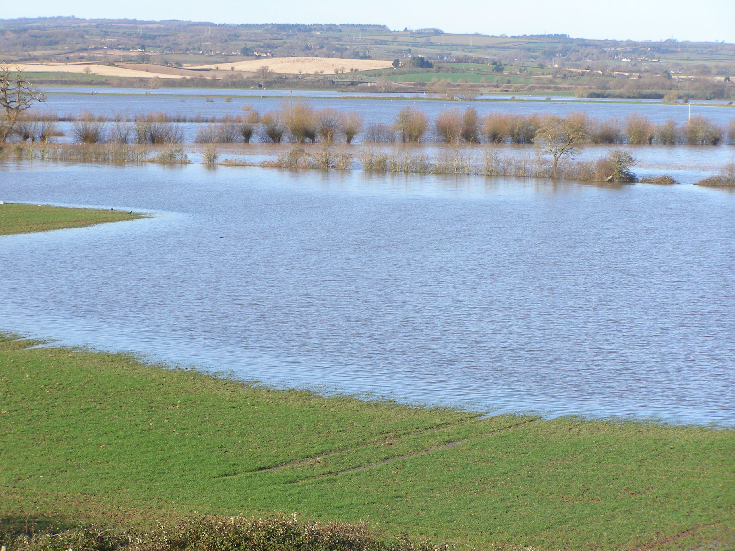 Colour photograph from high ground looking down across the fields on the Somerset Levels. Flood water is spread across a large chunk of the landscape, with a row of trees poking up above the water.