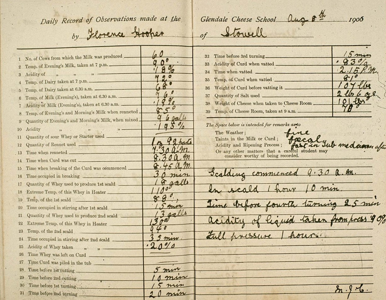 Opened to double page in the notebook, it reads, 'Daily Record of observations made at the Glendale Cheese School, August 8th, 1906, by Florence Hoofier of Stowell.' It goes on, 'Number of cows from which the milk was produced, 60. Temperature of Evening's milk, taken at 7 pm, 90 degrees celsius.'