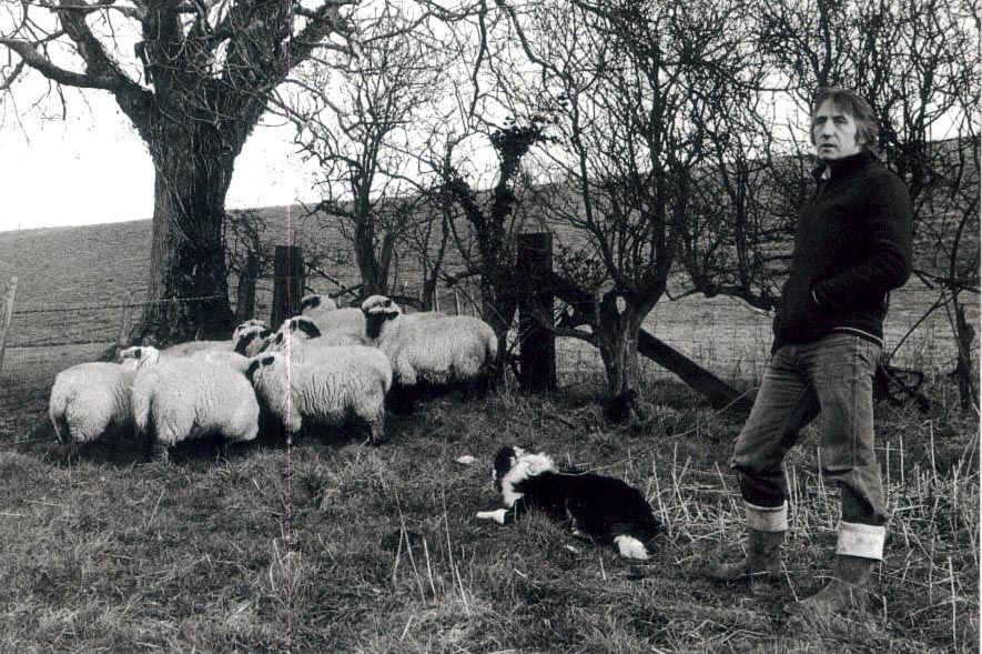 Black and white photograph of Brian Rice stood to the right of the photo with his sheepdog lay guarding sheep at his feet. In the centre of the picture, a herd of sheep stand clustered beneath a tree on a bleak hill landscape.