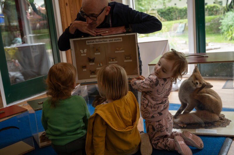 Children looking at a display case full of butterflies, photographed from behind.