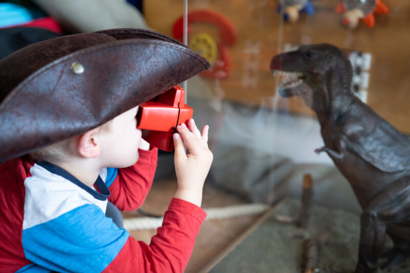 Child wearing a hat, looking at dinosaur model.