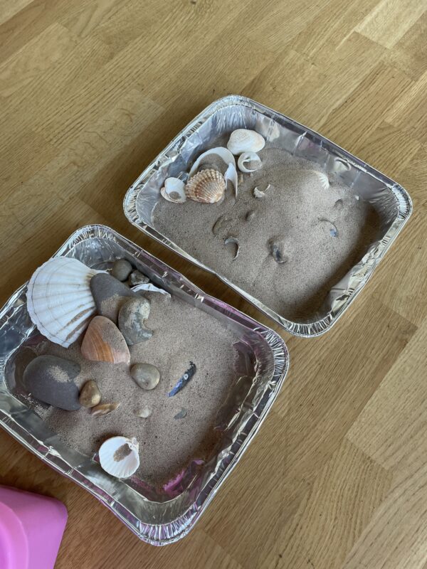 Two tin trays full of sand and shells.