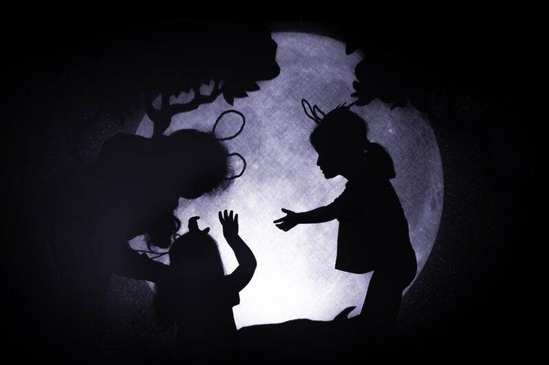 Children's shadows behind a woodland scene.