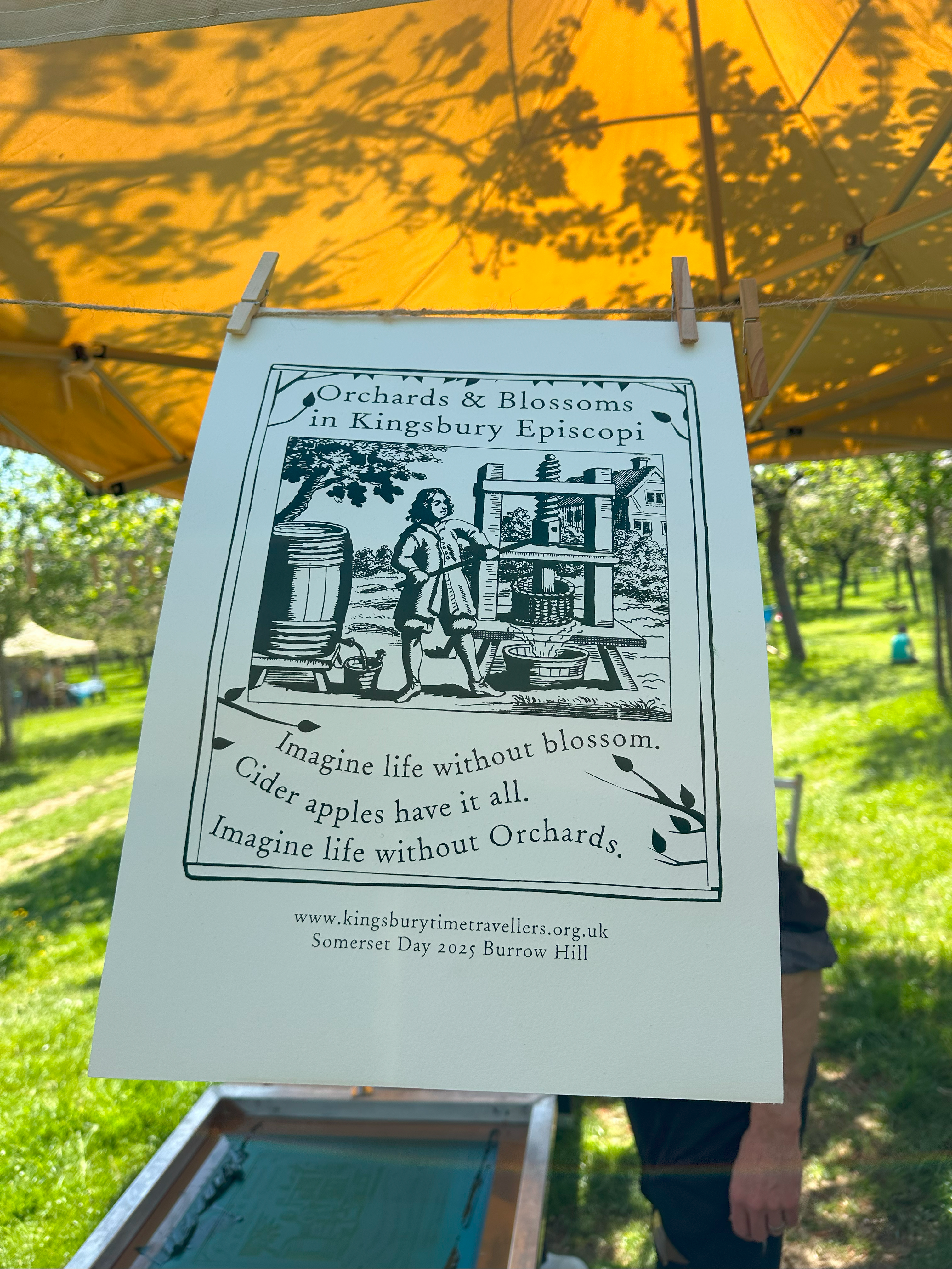 Artwork hanging on a line, with grass and trees in the background.