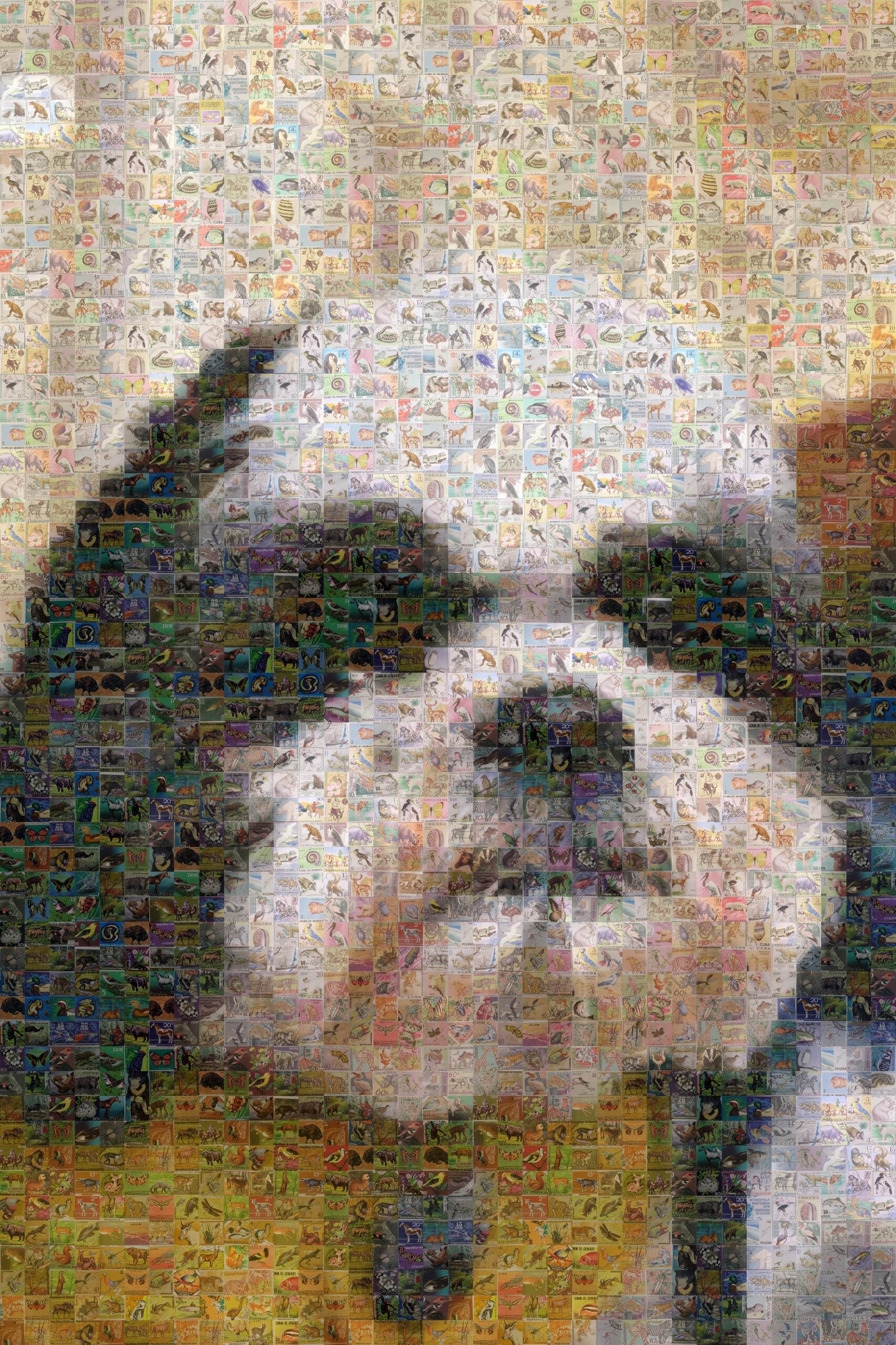 A mosaic style image of a black and white dog in a yellow jacket.