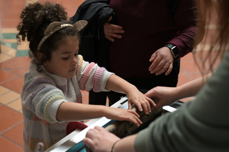 Participant engaging in the screen printing activity.