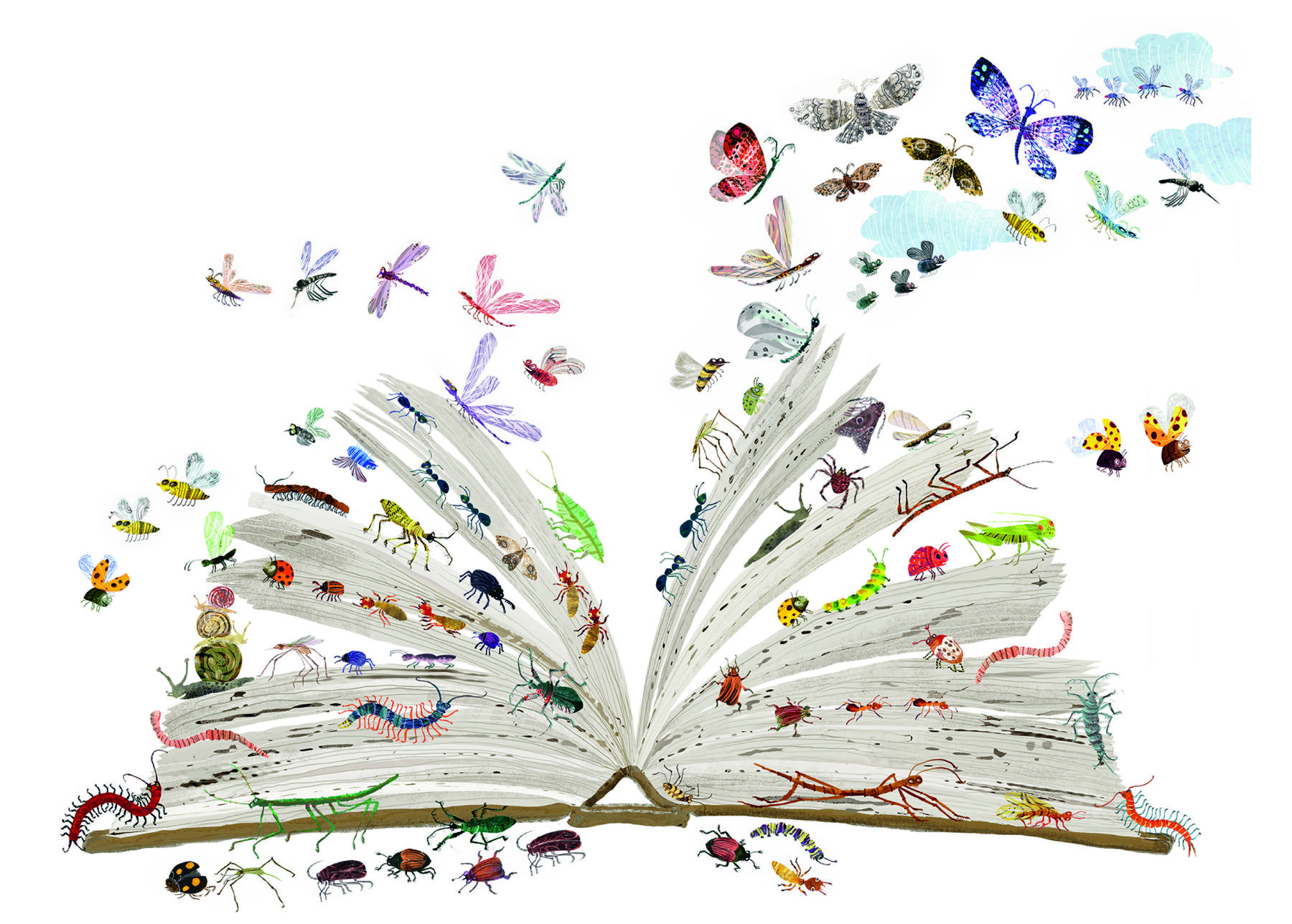 All Kind of Bugs in The Big Book of Blooms by Yuval Zommer, published by Thames and Hudson