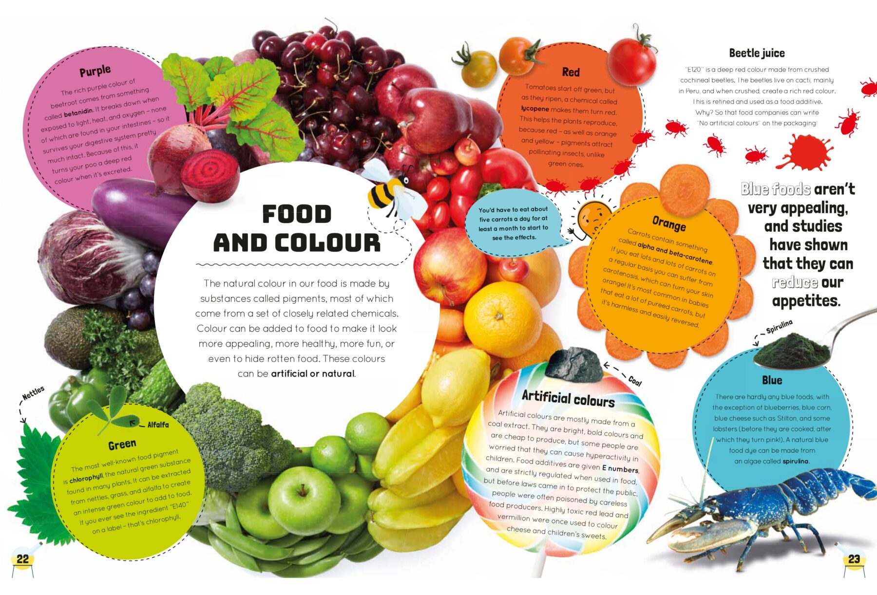 Food and Colour in Science You Can Eat by Stefan Gates, published by DK