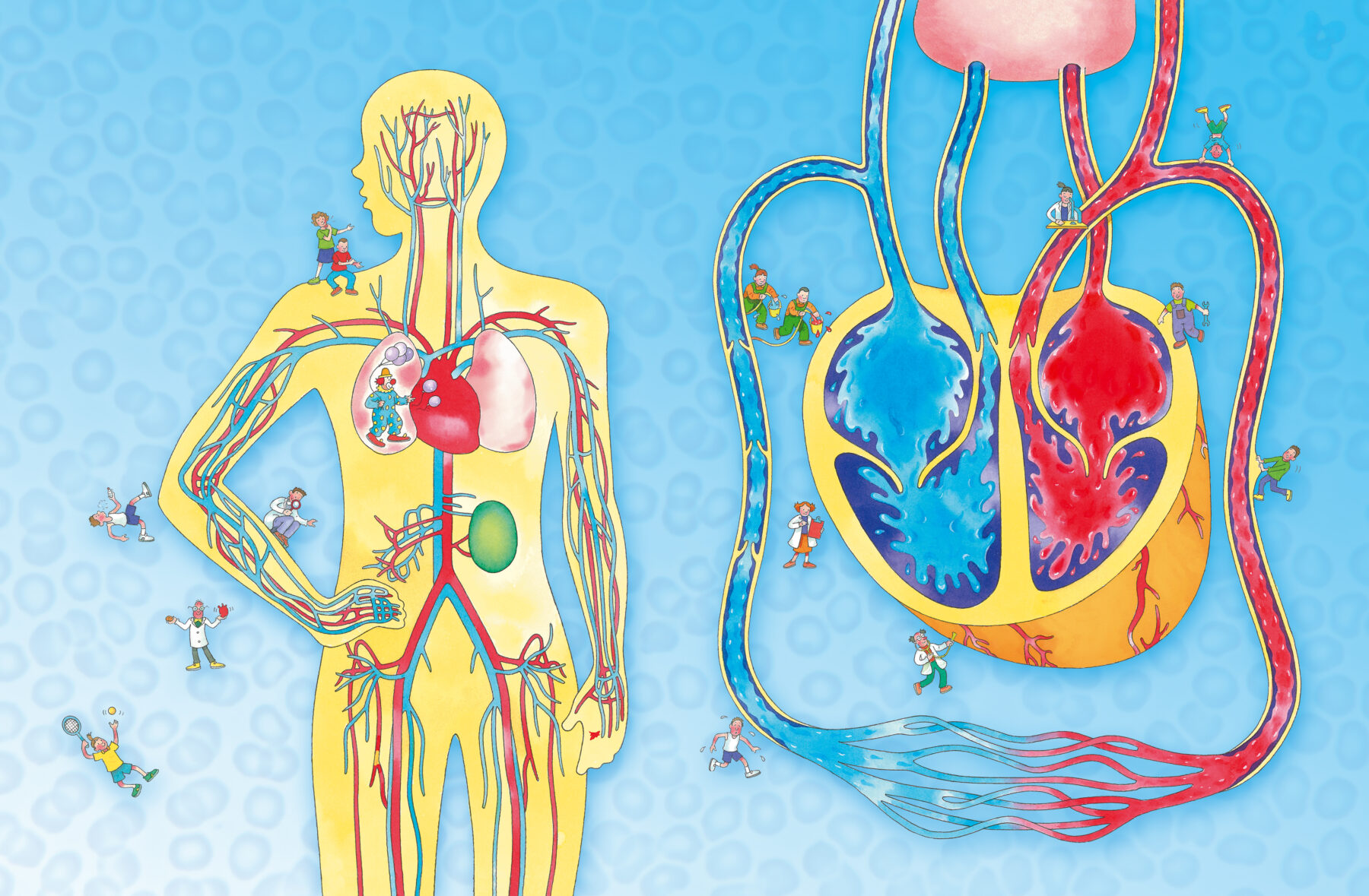 Pumping Blood in See Inside Your Body written by Katie Daynes and illustrated by Colin King, published by Usborne Books