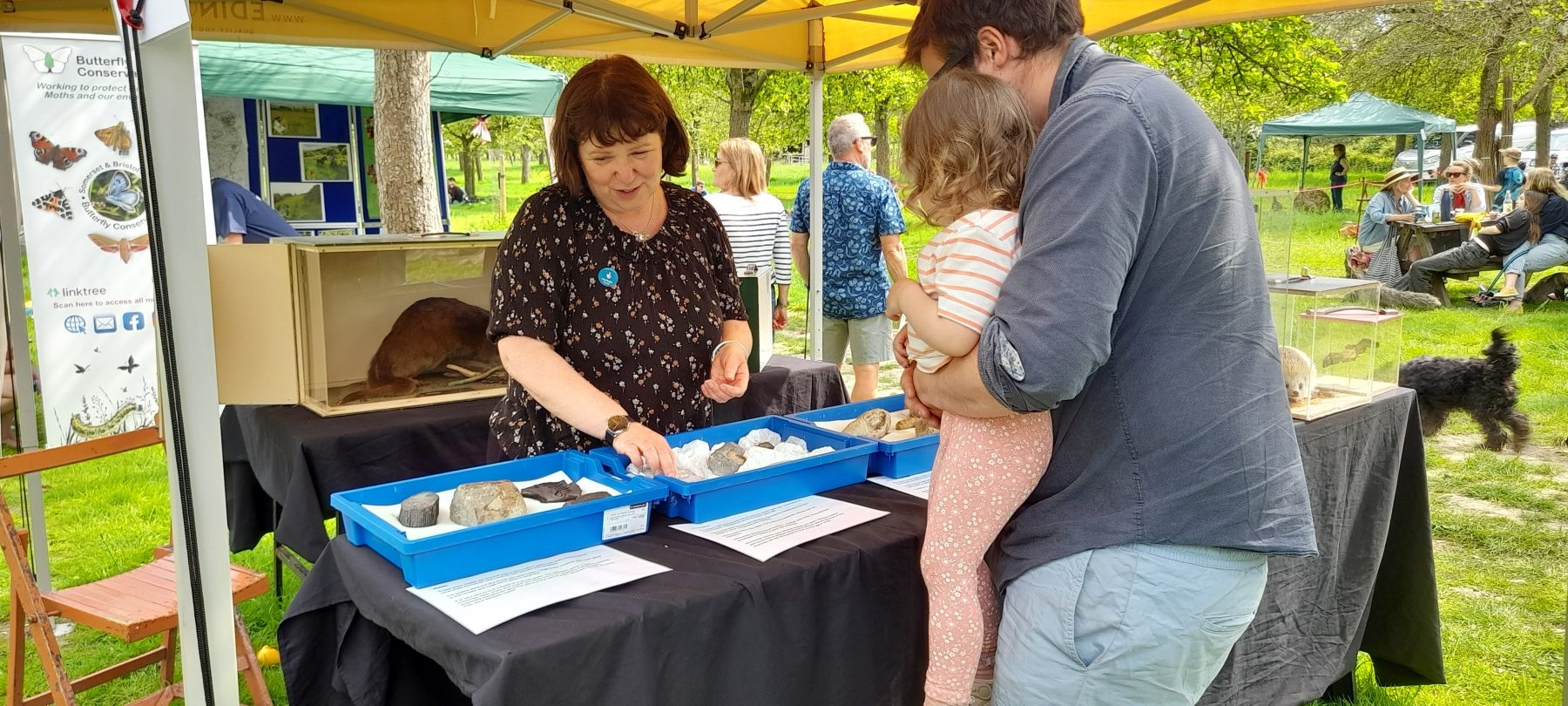 A father holding up his child to see fossils in blue trays being displayed by a team member. There are boxes of taxidermy surrounding them in the outdoor space.