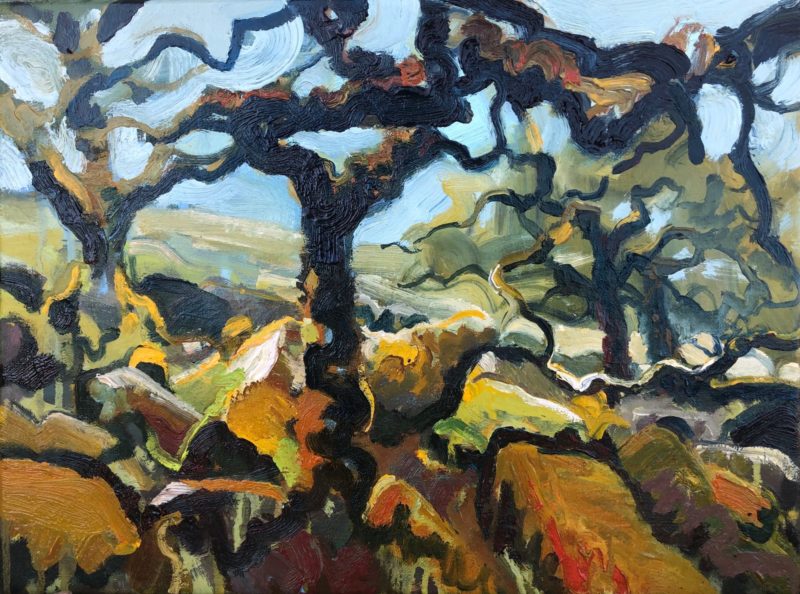 Twisting tree branches in dark black, brown and yellow interlace against a clear blue sky. The forest floor is a mass of overlapping abstract brush strokes which we assume to be lichen and moss growing below the trees.